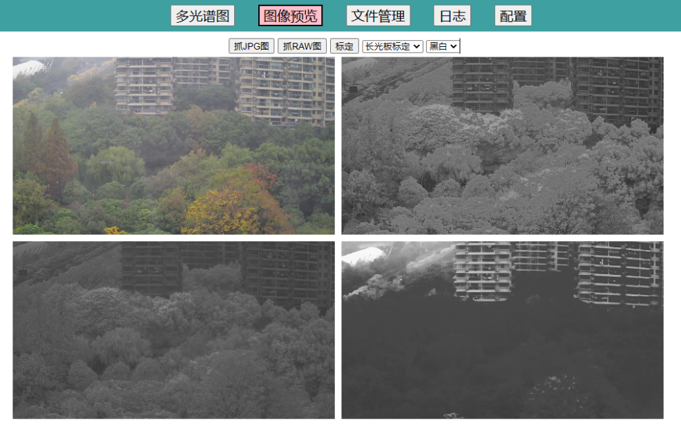 圖片11.png